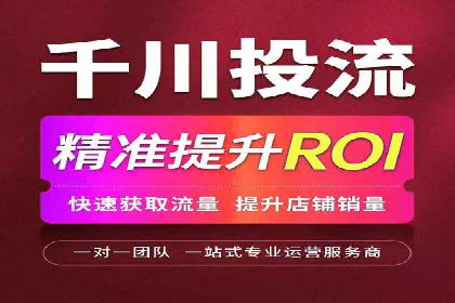 SEM主管实战：案例分析与优化策略